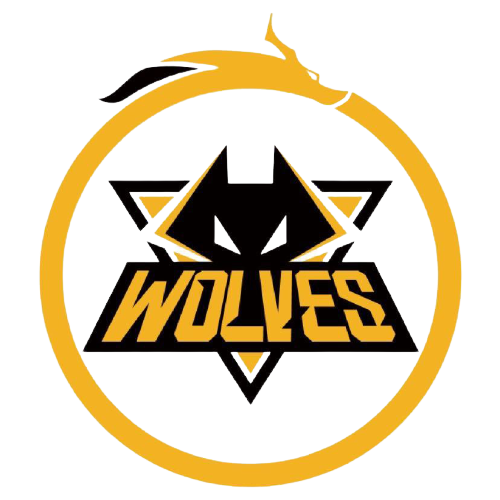 队陷入低谷 队陷入低谷