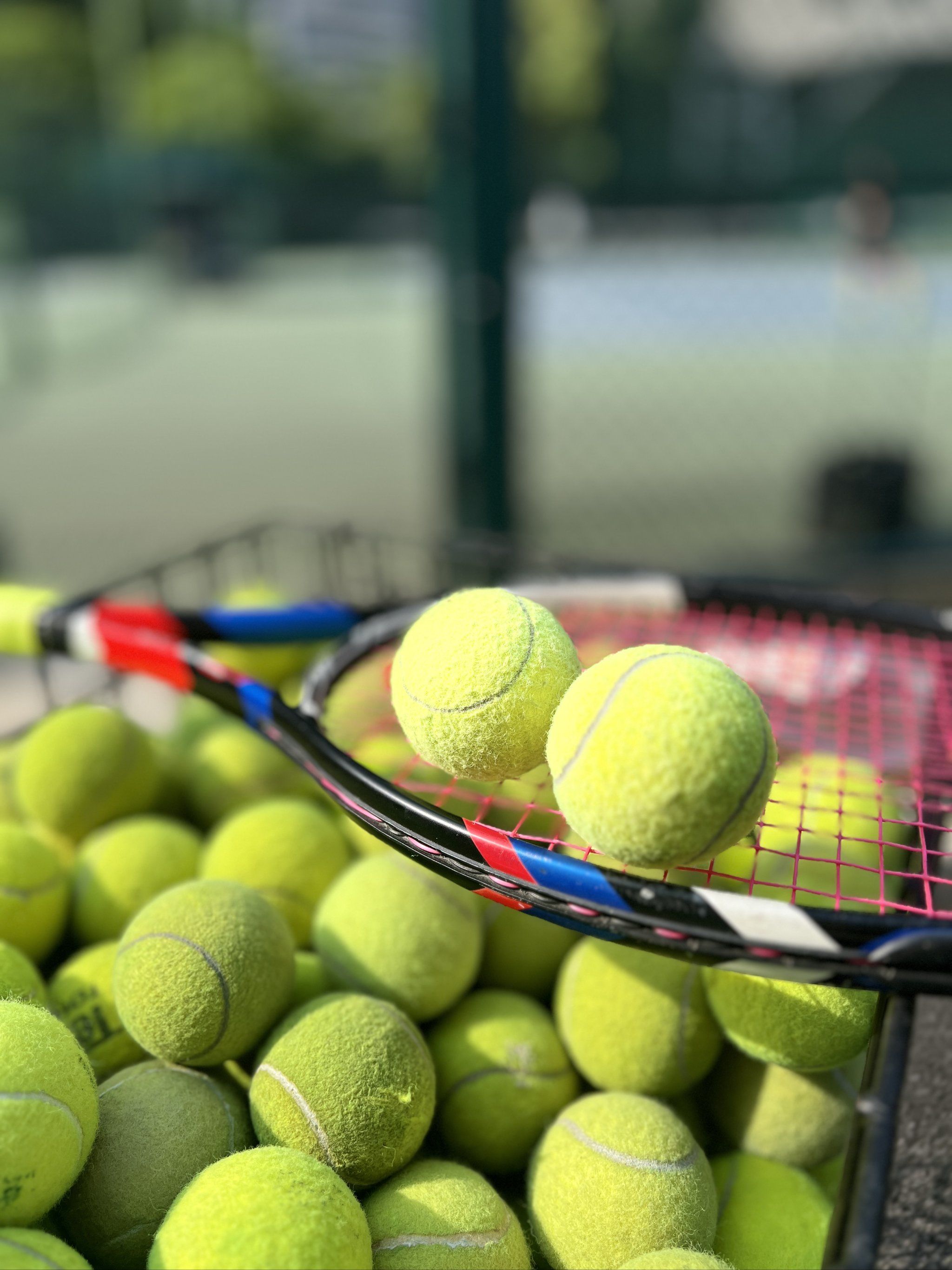 供了大量值 供了大量值