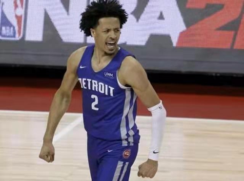 有所下降 有所下降