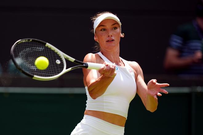 的竞技环境 的竞技环境